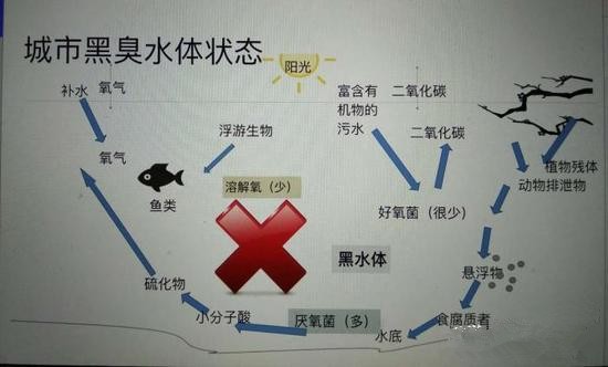 江蘇億元投資治污新技術(shù) 石墨烯能否治理黑臭水體？