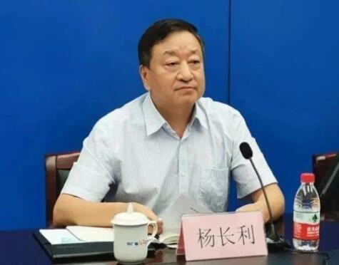 任職總經(jīng)理半年后，楊長利任中廣核董事長