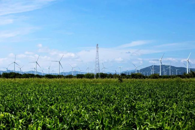 收購墨西哥818MW光伏電站，國家電投境外光伏電站裝機(jī)超6GW
