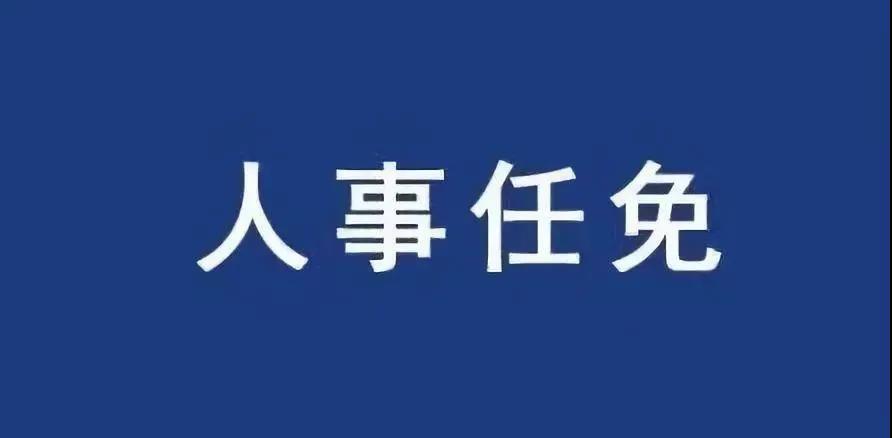 重磅！張智剛任國家電網(wǎng)總經(jīng)理、黨組副書記，韓君出任三峽集團總經(jīng)理