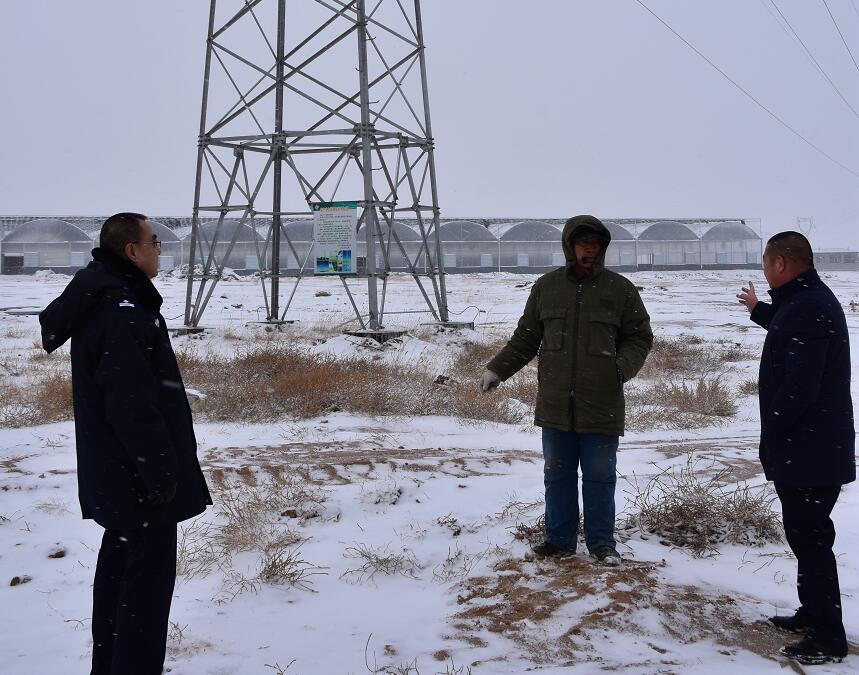 二連浩特供電公司：開展客戶側(cè)安全檢查，確?？诎犊蛻粝楹兔髁吝^春節(jié)