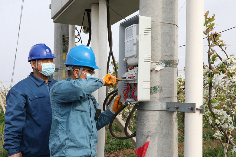 國網諸城市供電公司電力足，千畝梨園花正濃
