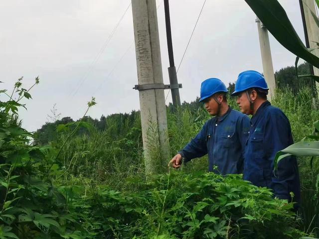 國網(wǎng)長春供電公司積極應(yīng)對極端天氣，確保線路設(shè)備穩(wěn)定運(yùn)行