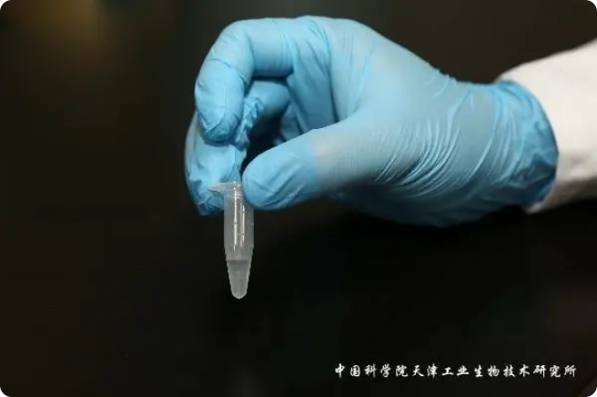 二氧化碳“變身”糖，中國科學(xué)家實現(xiàn)重大突破!