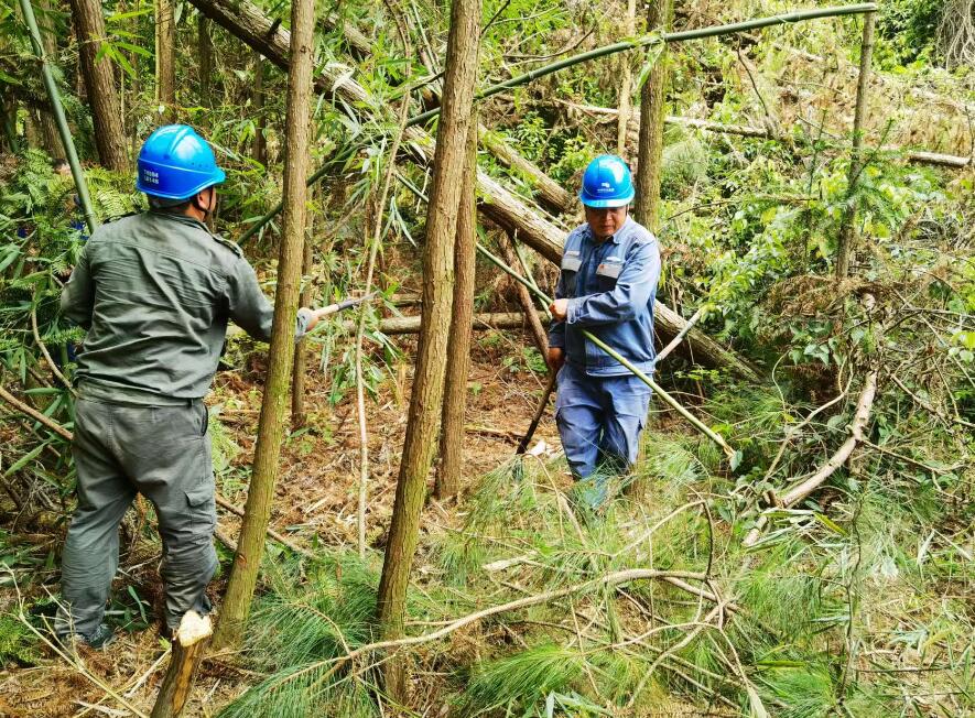 南方電網(wǎng)荔波供電局線路憂患如“猛獸”，通道清通要爭先