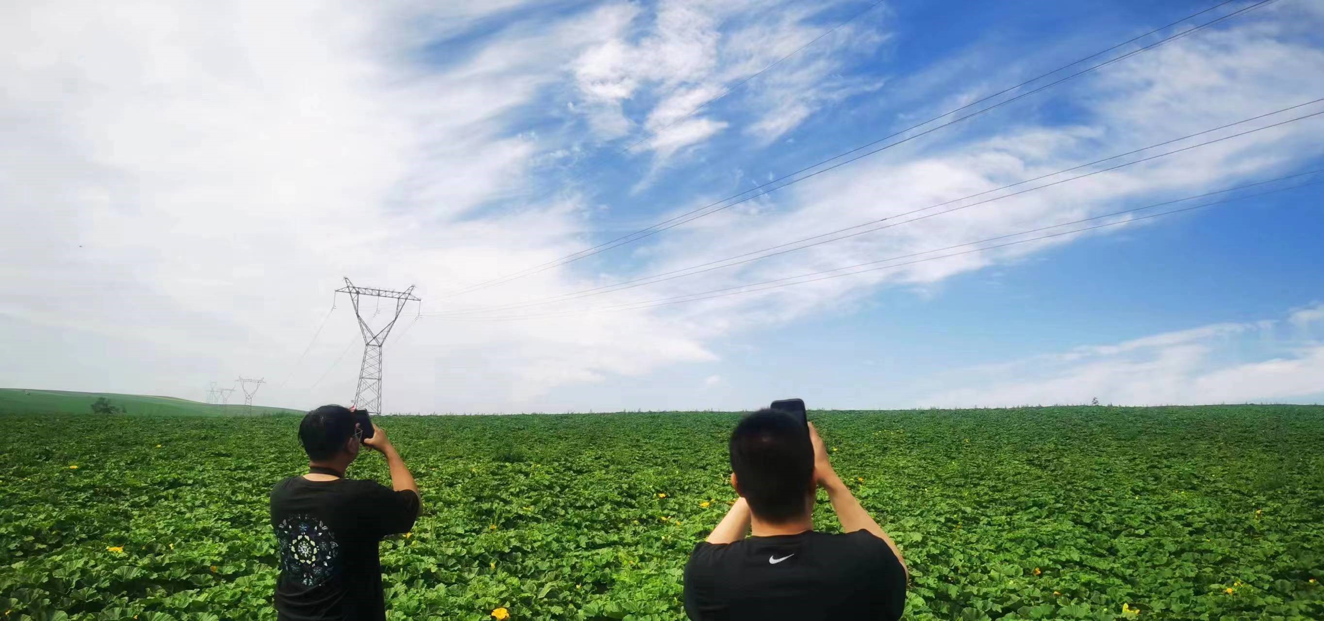 四子王輸變電管理處：防外力破壞，助安全運(yùn)行