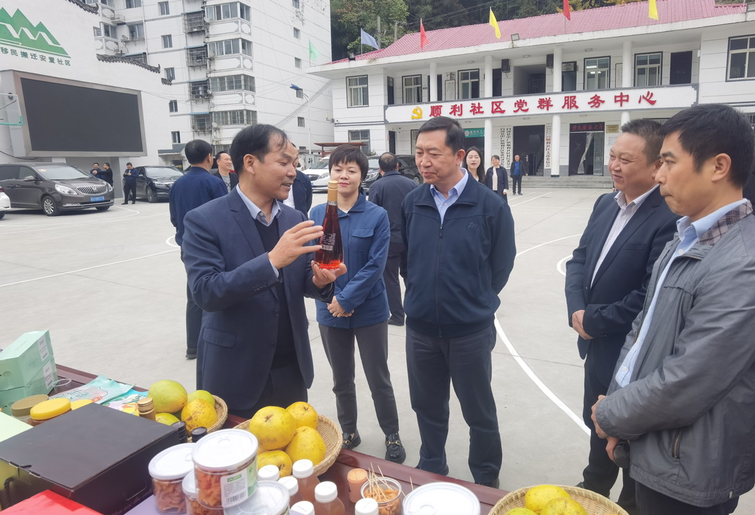 中核集團(tuán)總經(jīng)理、黨組副書記顧軍赴陜西白河、旬陽調(diào)研鄉(xiāng)村振興工作