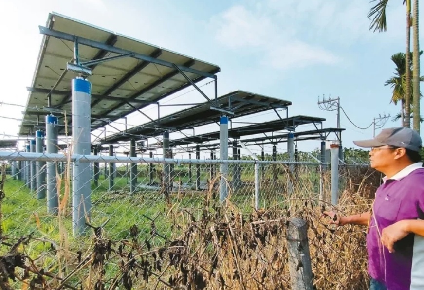 臺媒：農(nóng)田“種電”讓農(nóng)民苦不堪言，島內(nèi)面臨農(nóng)電兩失困境